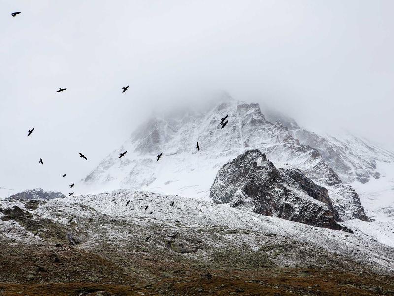 sudoku brain exercise screenshot 2